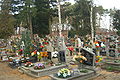 Cmentarz w Toporowie 2006 r.