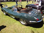 1956 Rear view