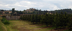 Skyline of Fontanillas