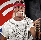 Hulk Hogan, wrestler american