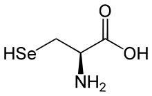 L-Selenocysteine.svg