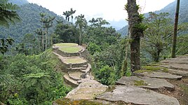 Ciudad Perdida is a major settlement believed to have been founded around 800 CE. It consists of a series of 169 terraces carved into the mountainside, a net of tiled roads and several small circular plazas. The entrance can only be accessed by a climb up some 1,200 stone steps through dense jungle.[25]