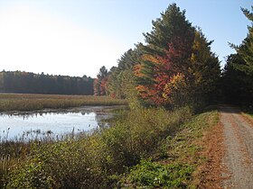 Swanton (Vermont)