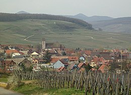 Orschwihr – Veduta