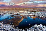 Laguna Chaxa in der Salar de Atacama