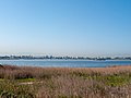 View over the estuary