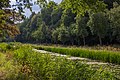 Abschnitt des Ludwig-Donau-Main-Kanals