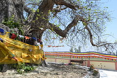 ಬುದ್ಧ ಅವಶೇಷ ವಿತರಣಾ ತಾಣ