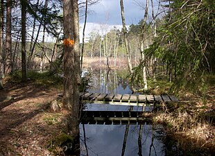 Lännaskogens naturreservat