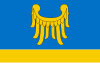 Vlag van Rybnik