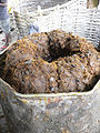 traditionelle Palmölpro- duktion in Ghana 2008 010: Reste der Palmölextraktion dienen als Tierfutter