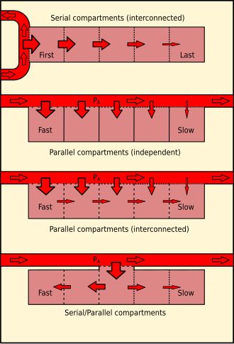 Diagram comparing serial (interconnected), parallel (independent), parallel (interconnected) and combined series-parallel tissue compartment models