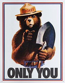 Smokey Bear Only You campaign hat.jpg