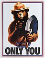 Affiche de Smokey Bear, un symbole aux États-Unis pour la protection des forêts.