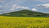 Blick vom Witfeld (zwischen Oberufhausen und Unterweisenborn) nordostwärts zum Soisberg