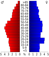 Bevolkingspiramide Staunton