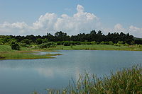 Hong Kong Wetland Park