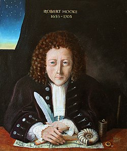 Hooke képzeletbeli portréja, hiteles nem maradt fenn.