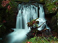 Cascade of the Savoureuse river