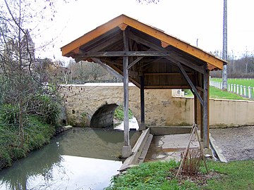 Lavador a la Bassana.