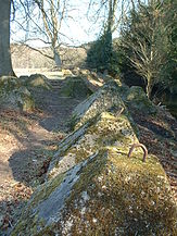英国サリーのウェイバリー修道院近くに残る「GHQ線」の竜の歯。2006年撮影。