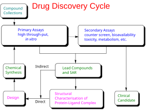 Drug discovery cycle schematic