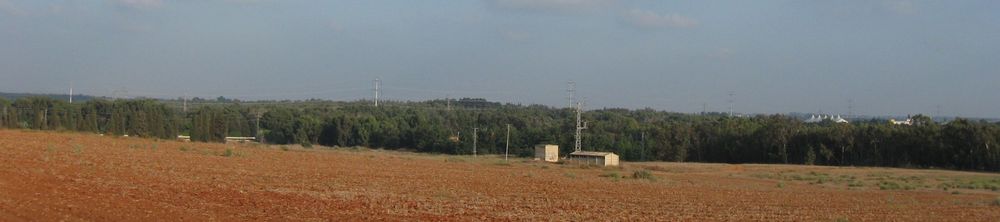 מראה חלקו המערבי של היער מכיוון צפון-מערב