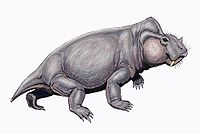 Rabidosaurus