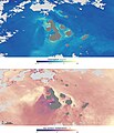 Image 6A satellite map of chlorophyll and phytoplankton concentration (top) paired with a map of oceanic surface temperatures at the same time (bottom). The thriving populations represented by green and yellow in the upper map correlate to areas of higher surface temperatures represented by yellow in the lower map (2 March 2009). (from Galápagos Islands)