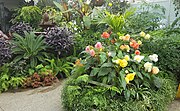 Townend House floral display