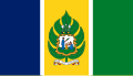 Прапор Сент-Вінсент і Гренадин (1979—1985)