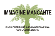 Immagine di Cycas chamaoensis mancante