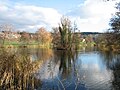 Küsnacht: Schübelweiher