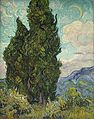 《絲柏樹（英語：Cypresses (Metropolitan Museum of Art)）》（Cypresses），1889年，收藏於大都會博物館