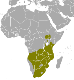 Distribución del eland común