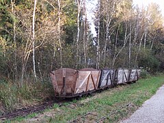 Im Weidmoos ausgestellte Torfloren