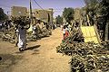 Image 26Selling firewood at a market (from Tree)