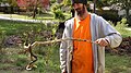 Image 4Snake coiled on a stick in Oklahoma. It was brumating in a large pile of wood chips, found by this landscaper after he bulldozed the pile in late autumn 2018. (from Snake)