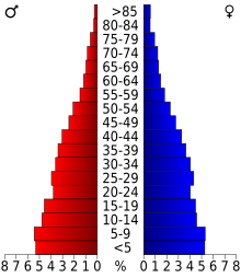 Schéma représentant la population du comté, par tranche d'âge. En rouge, à gauche, les femmes, en bleu à droite, les hommes.