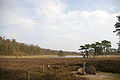 Egelmeer, ein kleiner See im Nationalpark