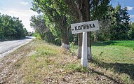Автошлях при в'їзді в село Копіївка