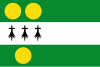 Flag of Anthisnes