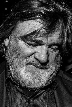 Brendan Gleeson vuonna 2014.