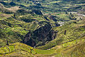 Image 30Agriculture terraces were (and are) common in the austere, high-elevation environment of the Andes. (from History of agriculture)