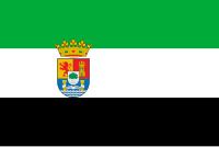 Bandera de Extremadura Versión institucional