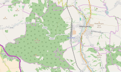 Localização de Międzylesie na Polónia