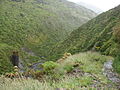 Rimutaka Incline 06.JPG