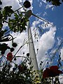 Enercon E-48 in the Wind Farm near the Medieval village of Tocco da Casauria in Italy