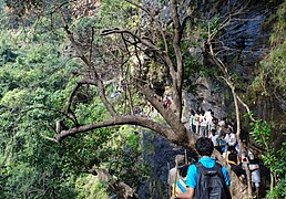 Trek to Ugra stambham at Ahobilam in Nallamala Forests