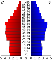 Bevolkingspiramide Pulaski County